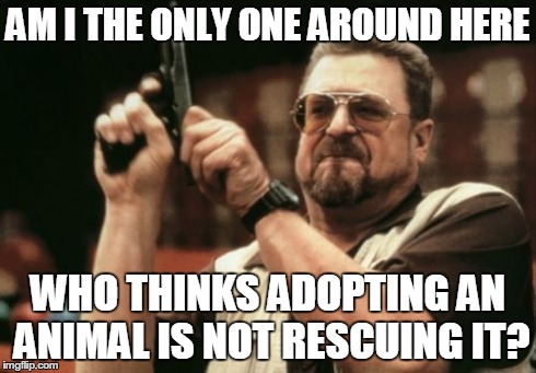 Am I The Only One Around Here Meme | AM I THE ONLY ONE AROUND HERE WHO THINKS ADOPTING AN ANIMAL IS NOT RESCUING IT? | image tagged in memes,am i the only one around here | made w/ Imgflip meme maker