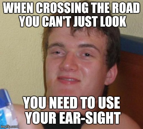 10 Guy Meme | WHEN CROSSING THE ROAD YOU CAN'T JUST LOOK YOU NEED TO USE YOUR EAR-SIGHT | image tagged in memes,10 guy | made w/ Imgflip meme maker