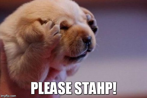 PLEASE STAHP! | made w/ Imgflip meme maker
