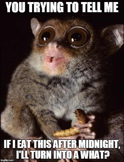 real life mogwai | YOU TRYING TO TELL ME IF I EAT THIS AFTER MIDNIGHT, I'LL TURN INTO A WHAT? | image tagged in animal,monkey,gremlins,mogwai | made w/ Imgflip meme maker