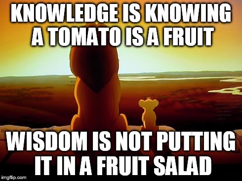 Lion King | KNOWLEDGE IS KNOWING A TOMATO IS A FRUIT WISDOM IS NOT PUTTING IT IN A FRUIT SALAD | image tagged in memes,lion king | made w/ Imgflip meme maker