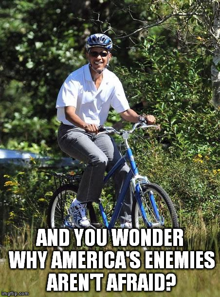 AND YOU WONDER WHY AMERICA'S ENEMIES AREN'T AFRAID? | image tagged in weenie-in-chief | made w/ Imgflip meme maker