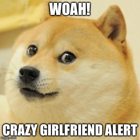 Doge | WOAH! CRAZY GIRLFRIEND ALERT | image tagged in memes,doge | made w/ Imgflip meme maker
