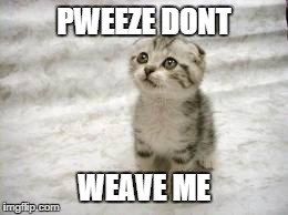 Sad Cat | PWEEZE DONT WEAVE ME | image tagged in memes,sad cat | made w/ Imgflip meme maker