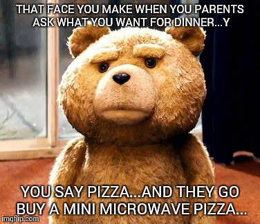 TED Meme | THAT FACE YOU MAKE WHEN YOU PARENTS ASK WHAT YOU WANT FOR DINNER...Y YOU SAY PIZZA...AND THEY GO BUY A MINI MICROWAVE PIZZA... | image tagged in memes,ted | made w/ Imgflip meme maker