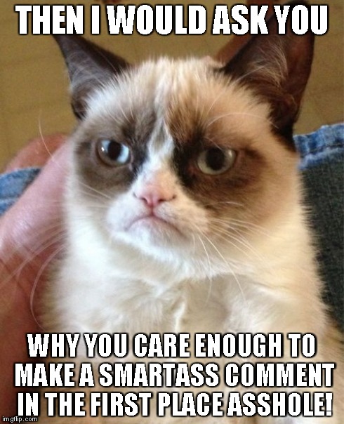 Grumpy Cat Meme | THEN I WOULD ASK YOU WHY YOU CARE ENOUGH TO MAKE A SMARTASS COMMENT IN THE FIRST PLACE ASSHOLE! | image tagged in memes,grumpy cat | made w/ Imgflip meme maker