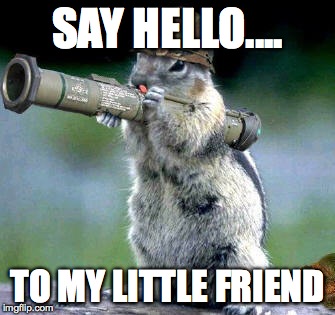 Bazooka Squirrel Meme | SAY HELLO.... TO MY LITTLE FRIEND | image tagged in memes,bazooka squirrel | made w/ Imgflip meme maker