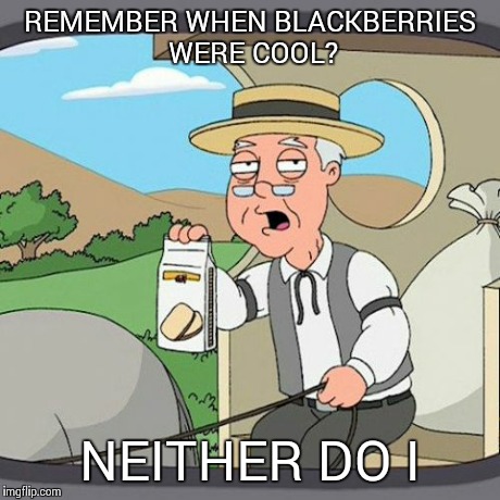 Crackberry Farms | REMEMBER WHEN BLACKBERRIES WERE COOL? NEITHER DO I | image tagged in memes,pepperidge farm remembers | made w/ Imgflip meme maker