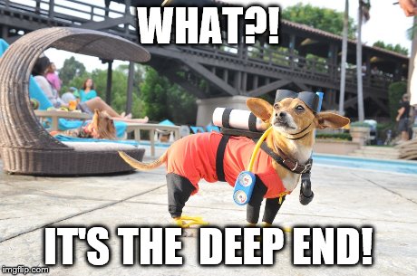 WHAT?! IT'S THE  DEEP END! | image tagged in memes,weird,funny | made w/ Imgflip meme maker