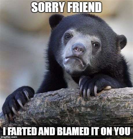 Confession Bear | SORRY FRIEND I FARTED AND BLAMED IT ON YOU | image tagged in memes,confession bear | made w/ Imgflip meme maker