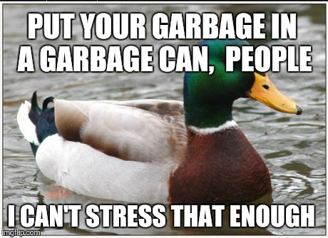 Actual Advice Mallard Meme | PUT YOUR GARBAGE IN A GARBAGE CAN,  PEOPLE I CAN'T STRESS THAT ENOUGH | image tagged in memes,actual advice mallard | made w/ Imgflip meme maker