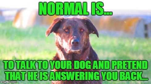 What is Normal? | NORMAL IS... TO TALK TO YOUR DOG AND PRETEND THAT HE IS ANSWERING YOU BACK... | image tagged in normal,dogs,talk,answer back,pretend,crazy | made w/ Imgflip meme maker
