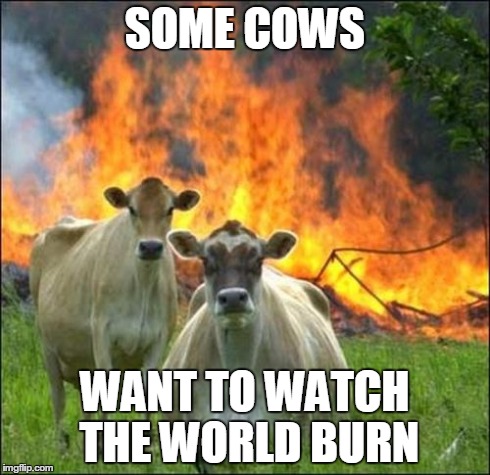 Evil Cows | SOME COWS WANT TO WATCH THE WORLD BURN | image tagged in memes,evil cows | made w/ Imgflip meme maker