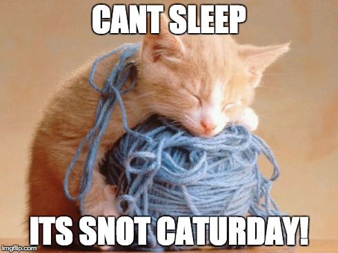 CANT SLEEP ITS SNOT CATURDAY! | made w/ Imgflip meme maker