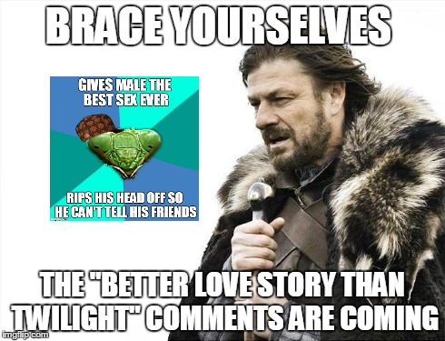 Still a Better love story comments | BRACE YOURSELVES THE "BETTER LOVE STORY THAN TWILIGHT" COMMENTS ARE COMING | image tagged in memes,brace yourselves x is coming | made w/ Imgflip meme maker