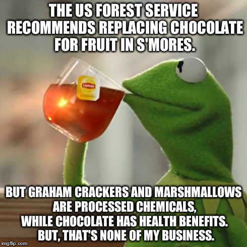 But That's None Of My Business Meme | THE US FOREST SERVICE RECOMMENDS REPLACING CHOCOLATE FOR FRUIT IN S'MORES. BUT GRAHAM CRACKERS AND MARSHMALLOWS ARE PROCESSED CHEMICALS, WHI | image tagged in memes,but thats none of my business,kermit the frog | made w/ Imgflip meme maker