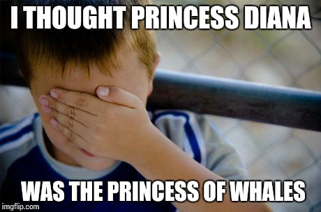 Confession Kid Meme | I THOUGHT PRINCESS DIANA WAS THE PRINCESS OF WHALES | image tagged in memes,confession kid,AdviceAnimals | made w/ Imgflip meme maker