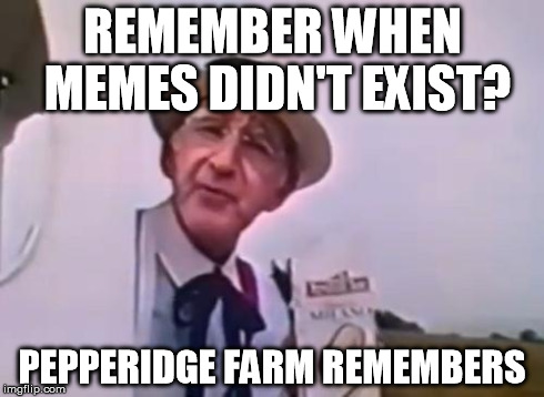 REMEMBER WHEN MEMES DIDN'T EXIST? PEPPERIDGE FARM REMEMBERS | image tagged in pepperidge farm remembers original,memes,pepperidge farm remembers,pepperidge farm | made w/ Imgflip meme maker