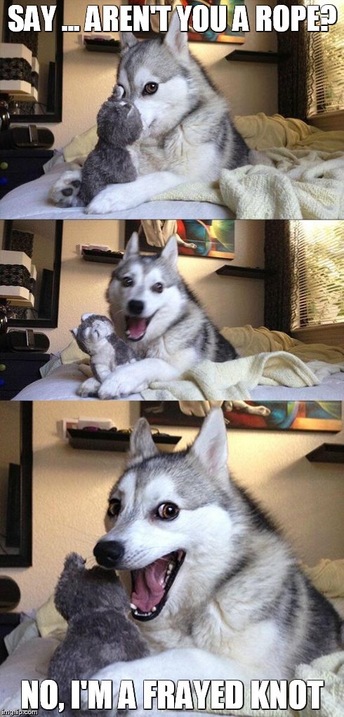 Bad Pun Dog | SAY ... AREN'T YOU A ROPE? NO, I'M A FRAYED KNOT | image tagged in memes,bad pun dog | made w/ Imgflip meme maker