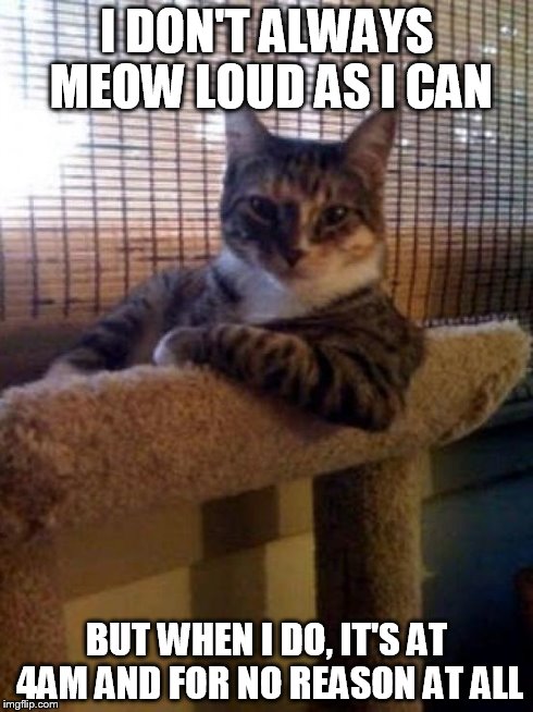 The Most Interesting Cat In The World | I DON'T ALWAYS MEOW LOUD AS I CAN BUT WHEN I DO, IT'S AT 4AM AND FOR NO REASON AT ALL | image tagged in memes,the most interesting cat in the world | made w/ Imgflip meme maker