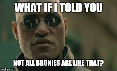 Matrix Morpheus Meme | WHAT IF I TOLD YOU NOT ALL BRONIES ARE LIKE THAT? | image tagged in memes,matrix morpheus | made w/ Imgflip meme maker