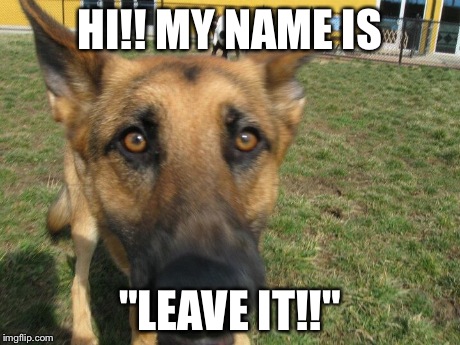 HI!! MY NAME IS "LEAVE IT!!" | made w/ Imgflip meme maker