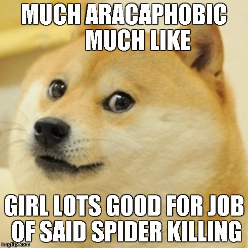 Doge Meme | MUCH ARACAPHOBIC      MUCH LIKE GIRL LOTS GOOD FOR JOB OF SAID SPIDER KILLING | image tagged in memes,doge | made w/ Imgflip meme maker