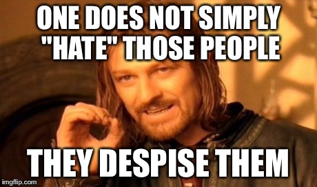One Does Not Simply Meme | ONE DOES NOT SIMPLY "HATE" THOSE PEOPLE THEY DESPISE THEM | image tagged in memes,one does not simply | made w/ Imgflip meme maker