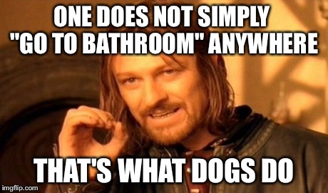 One Does Not Simply Meme | ONE DOES NOT SIMPLY "GO TO BATHROOM" ANYWHERE THAT'S WHAT DOGS DO | image tagged in memes,one does not simply | made w/ Imgflip meme maker
