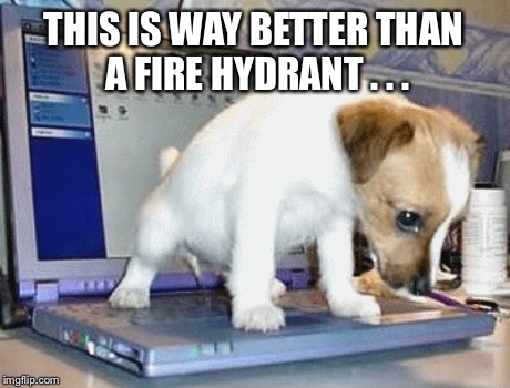 THIS IS WAY BETTER THAN A FIRE HYDRANT . . . | made w/ Imgflip meme maker