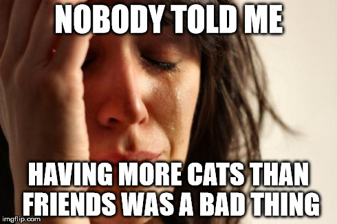 First World Problems | NOBODY TOLD ME HAVING MORE CATS THAN FRIENDS WAS A BAD THING | image tagged in memes,first world problems | made w/ Imgflip meme maker