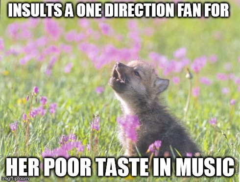 I do this every day | INSULTS A ONE DIRECTION FAN FOR HER POOR TASTE IN MUSIC | image tagged in memes,baby insanity wolf | made w/ Imgflip meme maker