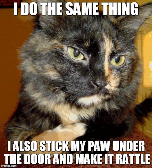 I DO THE SAME THING I ALSO STICK MY PAW UNDER THE DOOR AND MAKE IT RATTLE | made w/ Imgflip meme maker