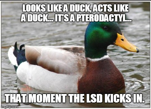 Actual Advice Mallard | LOOKS LIKE A DUCK, ACTS LIKE A DUCK... IT'S A PTERODACTYL... THAT MOMENT THE LSD KICKS IN. | image tagged in memes,actual advice mallard | made w/ Imgflip meme maker