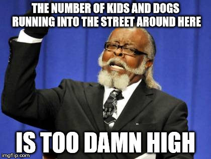 Too Damn High | THE NUMBER OF KIDS AND DOGS RUNNING INTO THE STREET AROUND HERE IS TOO DAMN HIGH | image tagged in memes,too damn high,AdviceAnimals | made w/ Imgflip meme maker