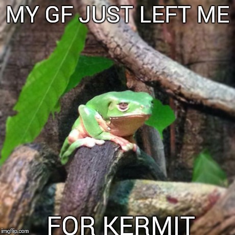 Sad Frog | MY GF JUST LEFT ME FOR KERMIT | image tagged in sad frog | made w/ Imgflip meme maker