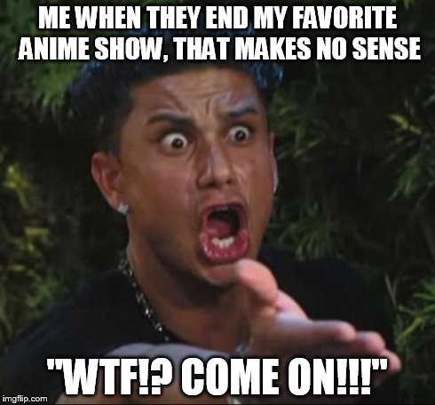 DJ Pauly D Meme | ME WHEN THEY END MY FAVORITE ANIME SHOW, THAT MAKES NO SENSE "WTF!? COME ON!!!" | image tagged in memes,dj pauly d | made w/ Imgflip meme maker