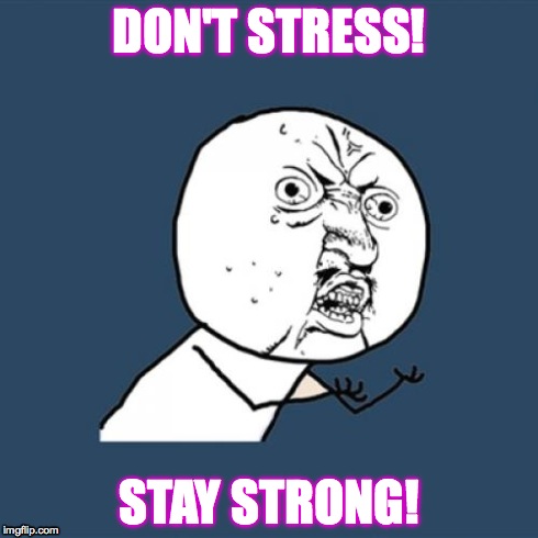 Y U No Meme | DON'T STRESS! STAY STRONG! | image tagged in memes,y u no | made w/ Imgflip meme maker