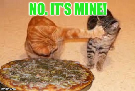 gatos tomate loco pizza | NO. IT'S MINE! | image tagged in gatos tomate loco pizza | made w/ Imgflip meme maker