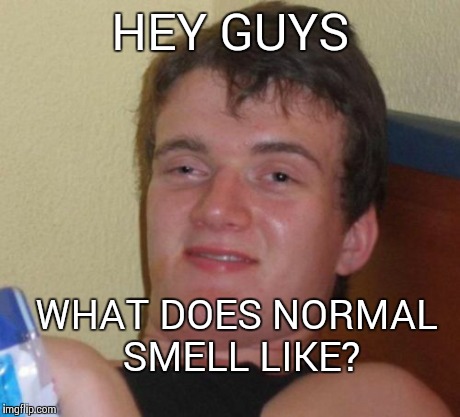 10 Guy Meme | HEY GUYS WHAT DOES NORMAL SMELL LIKE? | image tagged in memes,10 guy | made w/ Imgflip meme maker