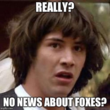 Conspiracy Keanu Meme | REALLY? NO NEWS ABOUT FOXES? | image tagged in memes,conspiracy keanu | made w/ Imgflip meme maker