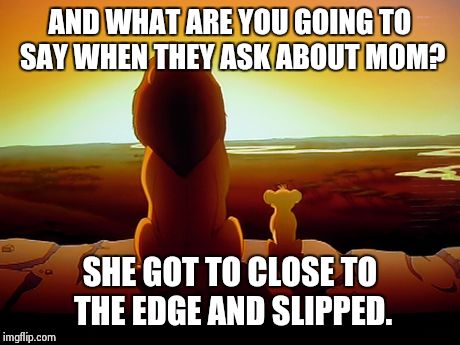 Lion King | AND WHAT ARE YOU GOING TO SAY WHEN THEY ASK ABOUT MOM? SHE GOT TO CLOSE TO THE EDGE AND SLIPPED. | image tagged in memes,lion king | made w/ Imgflip meme maker