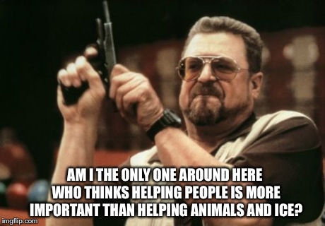 Am I The Only One Around Here Meme | AM I THE ONLY ONE AROUND HERE WHO THINKS HELPING PEOPLE IS MORE IMPORTANT THAN HELPING ANIMALS AND ICE? | image tagged in memes,am i the only one around here | made w/ Imgflip meme maker