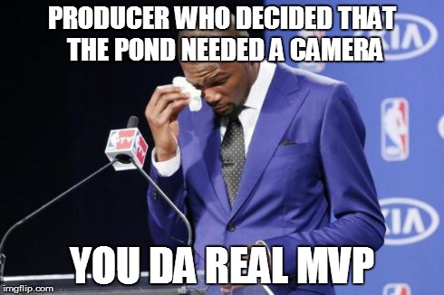 You The Real MVP 2 Meme | PRODUCER WHO DECIDED THAT THE POND NEEDED A CAMERA YOU DA REAL MVP | image tagged in memes,you the real mvp 2,UtopiaFOX | made w/ Imgflip meme maker