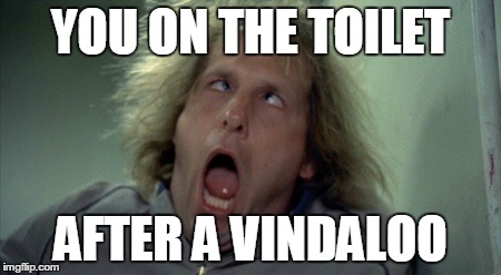 Scary Harry Meme | YOU ON THE TOILET AFTER A VINDALOO | image tagged in memes,scary harry | made w/ Imgflip meme maker