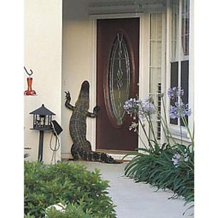 High Quality Alligator at the door Blank Meme Template