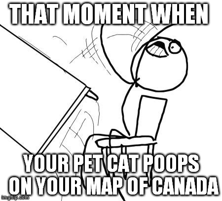 Table Flip Guy | THAT MOMENT WHEN YOUR PET CAT POOPS ON YOUR MAP OF CANADA | image tagged in memes,table flip guy | made w/ Imgflip meme maker