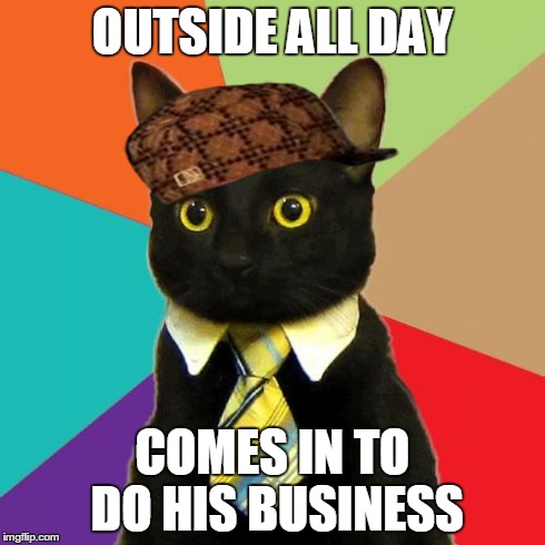 Business Cat Meme | OUTSIDE ALL DAY COMES IN TO DO HIS BUSINESS | image tagged in memes,business cat,scumbag,AdviceAnimals | made w/ Imgflip meme maker