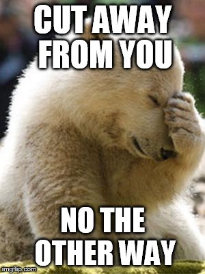 Facepalm Bear Meme | CUT AWAY FROM YOU NO THE OTHER WAY | image tagged in memes,facepalm bear | made w/ Imgflip meme maker