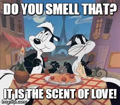 DO YOU SMELL THAT? IT IS THE SCENT OF LOVE! | image tagged in pepe le pew | made w/ Imgflip meme maker